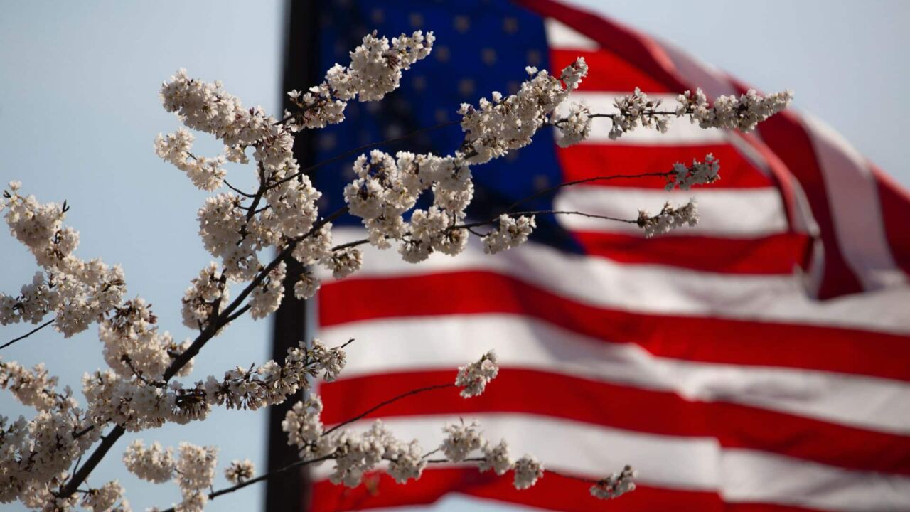 Stage aux Etats-Unis : une expérience inoubliable