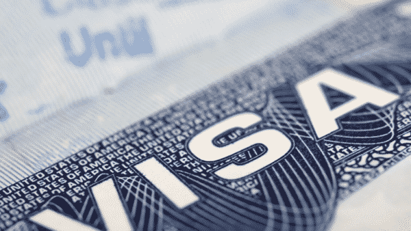 Obtenir le DS 2019 : un document indispensable