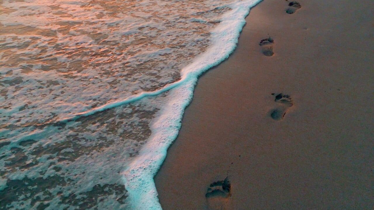 Partir faire un bénévolat au Costa-Rica