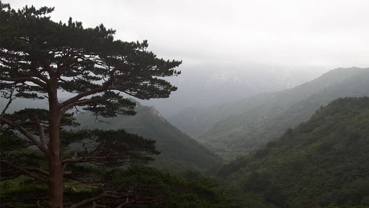 L&rsquo;exp&eacute;rience de Jacinthe lors de ses &eacute;tudes en Cor&eacute;e du Sud