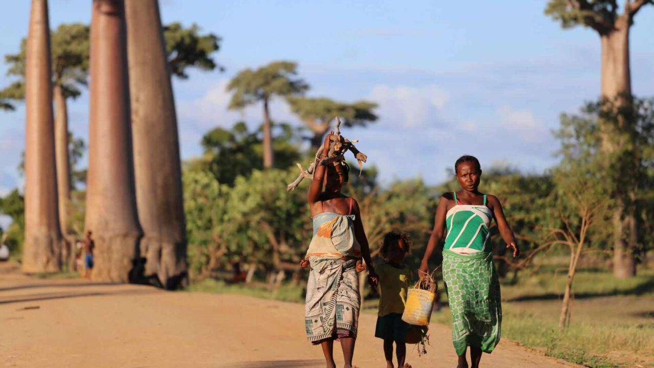 Premier pas à Madagascar : que voir ?