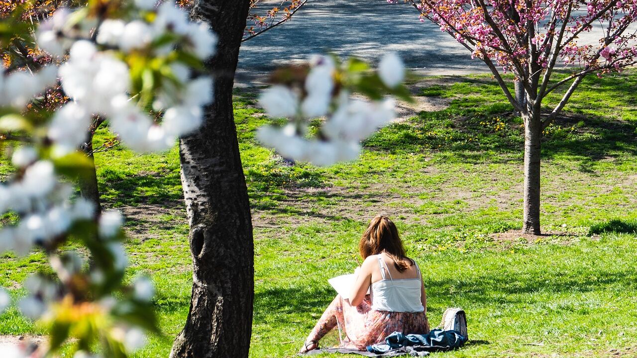 Comment faire ses &eacute;tudes &agrave; New York ?