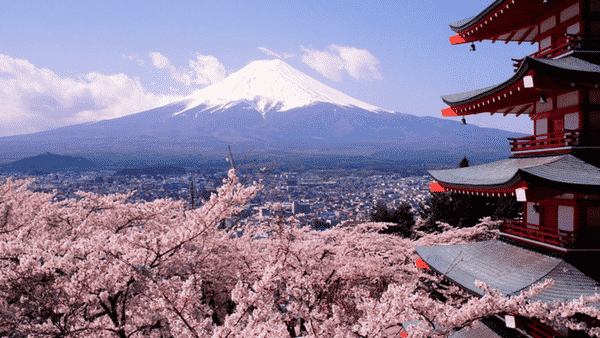 L’expérience de Grâce en couchsurfing au Japon