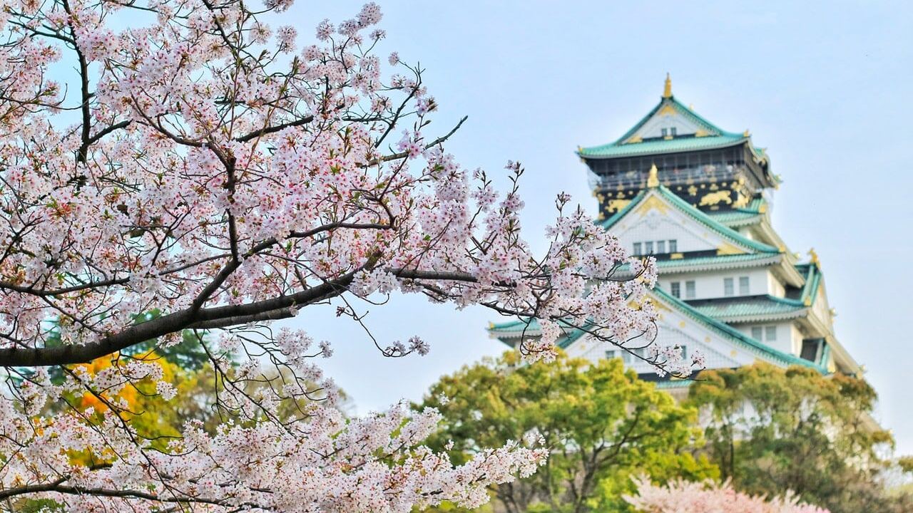 Comment partir en PVT au Japon ?