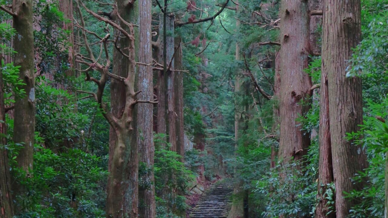 Les plus beaux parcs nationaux d&rsquo;Australie