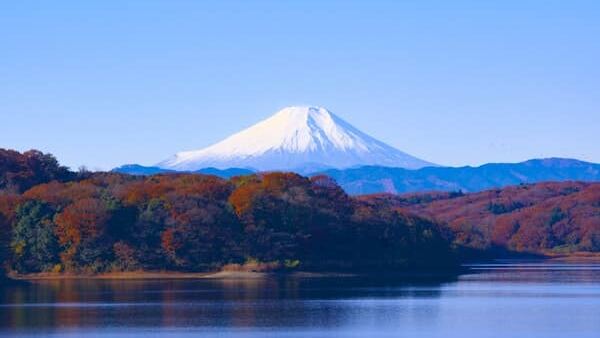 Etudier au Japon : mode d&rsquo;emploi