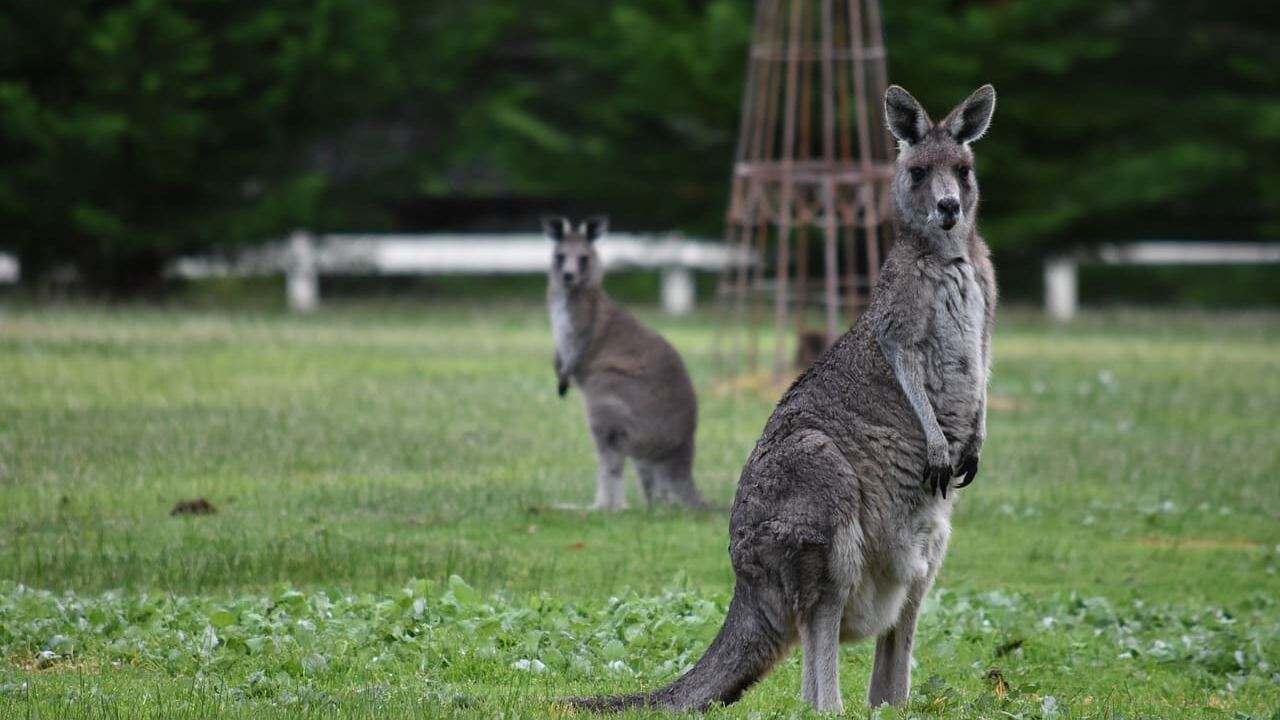 Voyage en Australie : un climat propice &agrave; l&rsquo;ann&eacute;e
