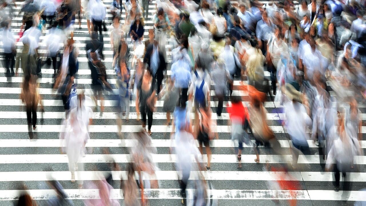 Les différentes bourses d’études au Japon